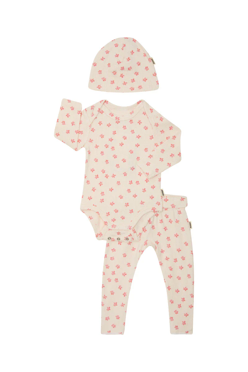 Bonds 3 Pack Pointelle Set - Petal Pop