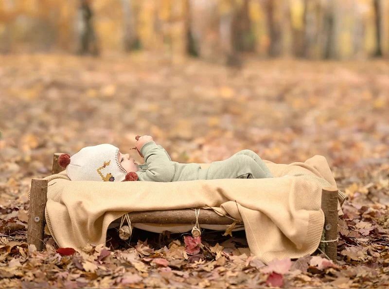 Toshi Organic Earmuff Storytime - Earthmover - Image 2