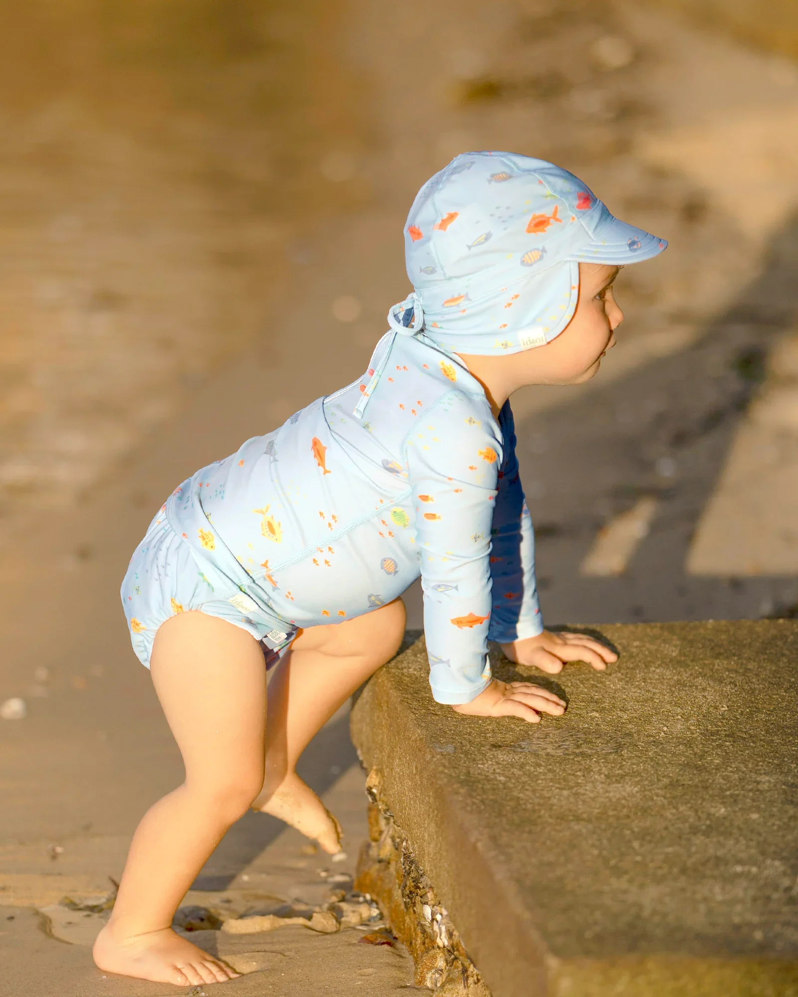 Toshi Swim Baby Nappy Classic - Reef - Image 2